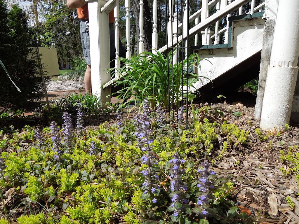 Oakland Cottage Bed And Breakfast Asheville Exterior foto